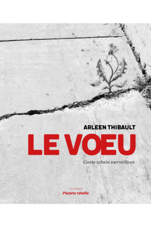 Le vœu: conte urbain merveilleux